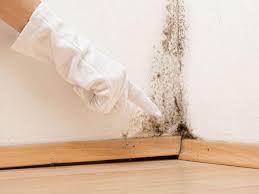 Best Environmental Consulting for Mold Prevention  in De Kal, TX